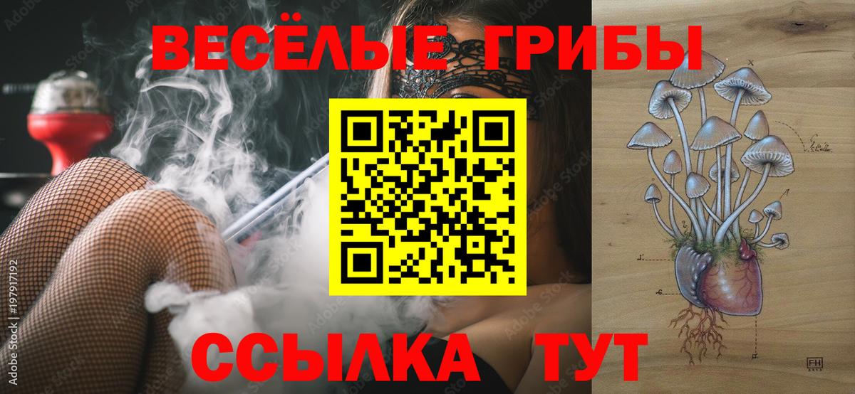 Мыски  Галлюциногенные грибы прущие грибы  Вход с VPN 